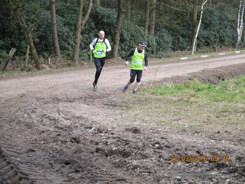 Bosloop Brecht - 36